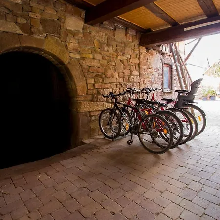 Apartment Meubles De Tourisme Griotte Et Cannelle Bergbieten